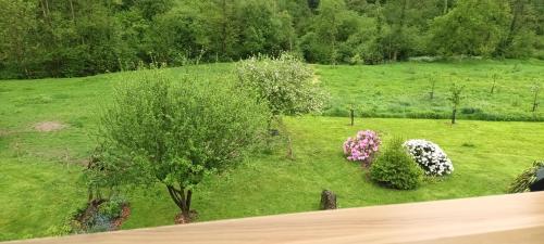 Ein Garten an der Unterkunft Chambre des bords de Siame