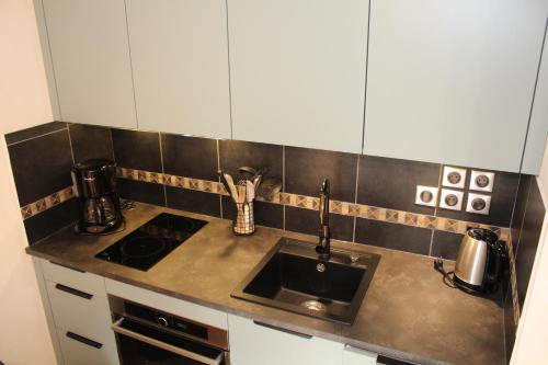 Il comprend une cuisine équipée d'un évier et d'une cuisinière. dans l'établissement Reine des Prés, à Samoëns