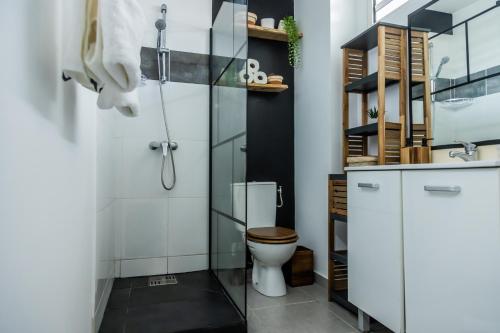 a bathroom with a toilet and a shower at Le Loft industriel à la Zac Hibiscus - Terrasse in Trou Biron