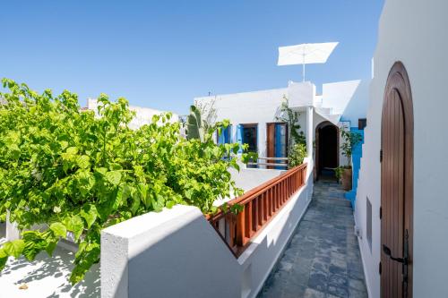 a balcony of a house with plants at Riad Asilah 32 in Asilah