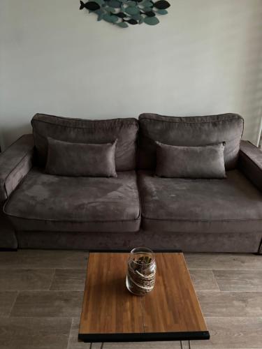 - un salon avec un canapé brun et une table basse dans l'établissement Adorable studio 3p HYERES Port plages, à Hyères