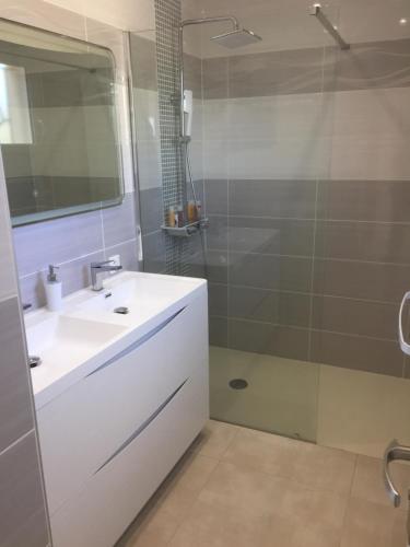 une salle de bain avec un lavabo blanc et une douche dans l'établissement Ales Cevennes villa confort et tranquillité, à Saint Julien Les Rosiers