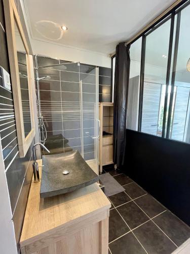 une salle de bain avec douche et lavabo dans l'établissement Spacieux appartement à Nice, à Nice