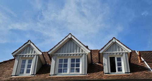 two windows on the roof of a house at Nachtwächterhäuschen mit Sauna in Blieskastel