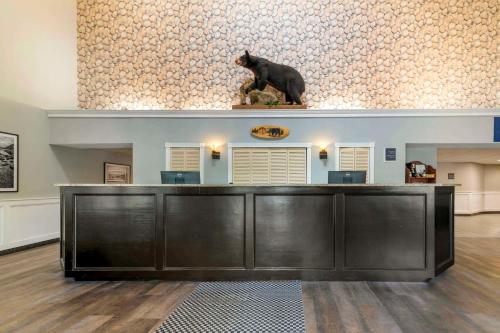 a cat statue sitting on top of a reception desk at Black Bear Inn, an Ascend Collection Hotel in Orono
