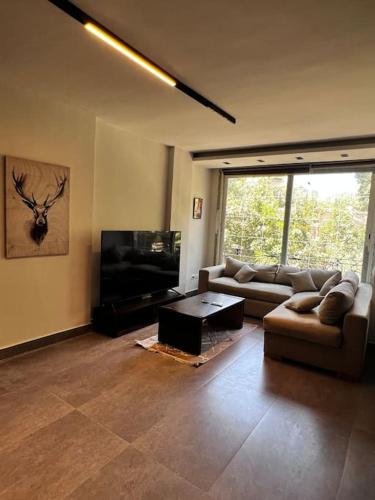 a living room with couches and a flat screen tv at Urban Cairo Maadi-Near the Nile in Cairo