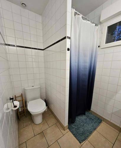 La salle de bains est pourvue de toilettes et d'un rideau de douche bleu. dans l'établissement La Maisonnette, à Haubourdin