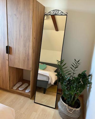 a mirror in a room with a bed and a plant at Vineyard cottage Skriti raj in Leskovec pri Krškem