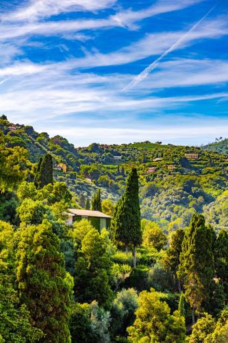 Paesaggio naturale nelle vicinanze dell'appartamento