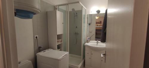 une salle de bain avec une douche, des toilettes et un lavabo dans l'établissement Studio Arcachon, quartier de l'Aiguillon, à Arcachon
