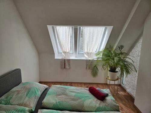 Roof Apartment 26 - Courtyard View
