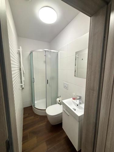 a bathroom with a shower and a toilet and a sink at Apartament Residence Nysa in Nysa