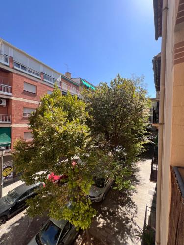 Las casas de Justo