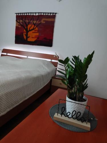 Apartma Marko Rogaška
