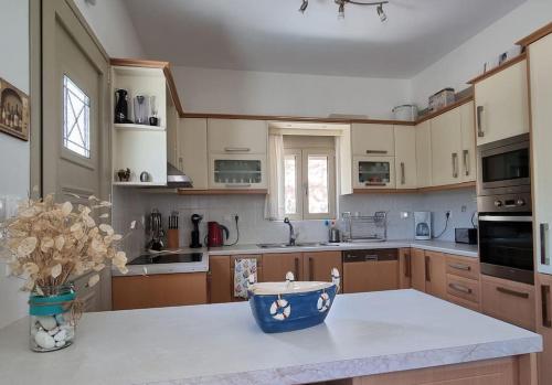 a kitchen with a blue bowl on a counter at Stunning View Villa in Sami in Chaliotata