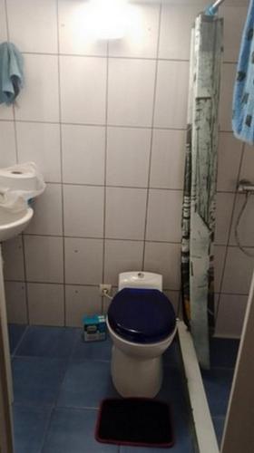 La salle de bains est pourvue de toilettes avec un siège bleu et un lavabo. dans l'établissement Maison sur 3 étages avec patio, terrasse avec barbecue, 1 chambre de disponible au 1er étage, à Fresnes