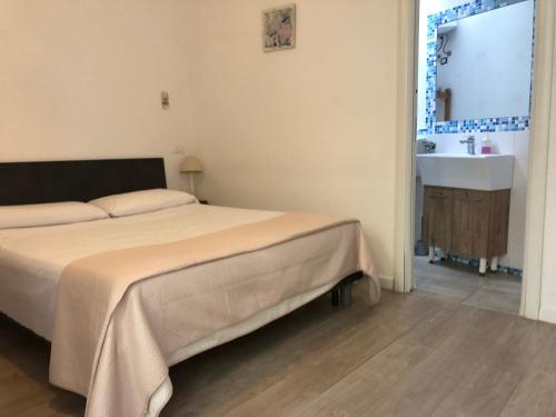 a bedroom with a bed and a sink at B&B Xenia in Mongiove