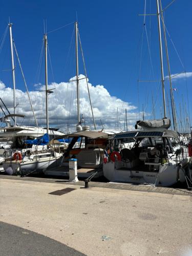 un groupe de bateaux est garé dans un port dans l'établissement Adorable studio 3p HYERES Port plages, à Hyères