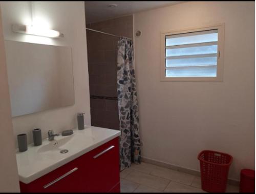 a bathroom with a sink and a window at Pomme de Pin in Cilaos