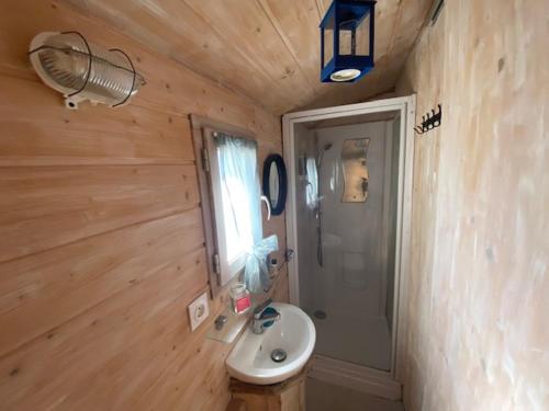 La salle de bains privative est pourvue d'un lavabo et d'une douche. dans l'établissement Roulotte 300 m de la Plage tout confort, à Soulac-sur-Mer