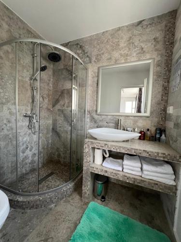 a bathroom with a shower and a sink at Luxus Cluj Airport Apartments in Cluj-Napoca