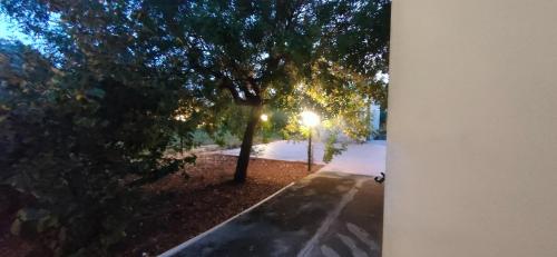 Galería fotográfica de Cascina Vittorio en Noha