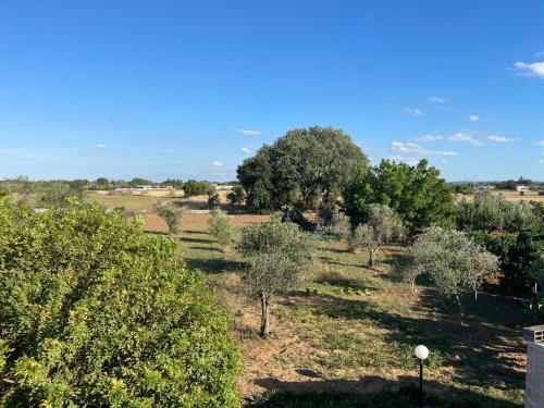 Un paisaje natural cerca de la casa vacacional