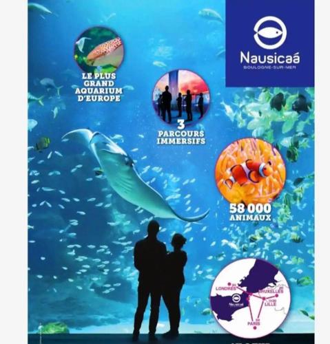 a poster for the aquarium of the pacific with a shark and fishes at La Cabine d HARDELOT Plage à 3mn à pied in Neufchâtel-Hardelot