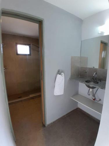a bathroom with a shower and a sink and a mirror at Acacias Mina Clavero in Mina Clavero