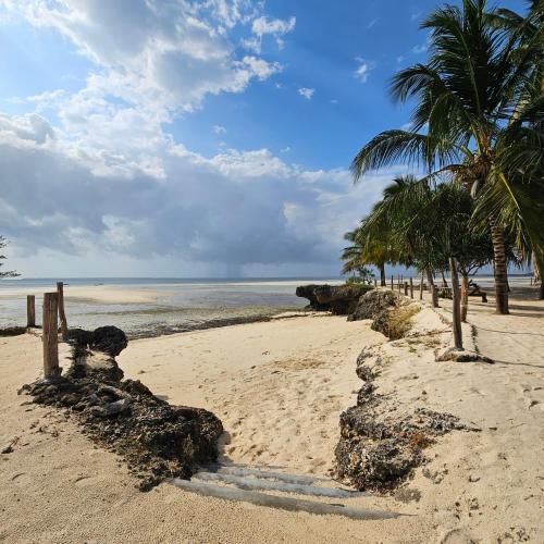 a sandy beach with palm trees and the ocean at Maharaja Boutique Hotel Zanzibar in Uroa