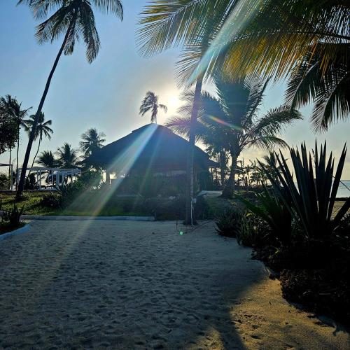 a group of palm trees on a beach with the sun at Maharaja Boutique Hotel Zanzibar in Uroa