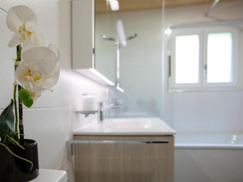Imagen de la galería de Apartment Chantebrise A1 by Interhome, en Chesières
