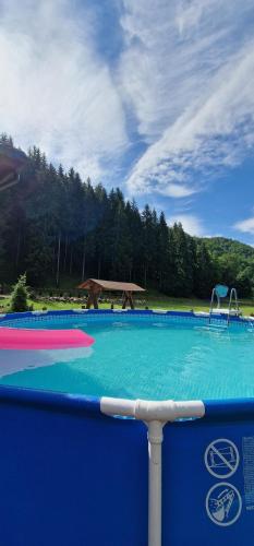 a large swimming pool with blue water and a picnic table at Pensiunea Poiana Țibleș in Suplai