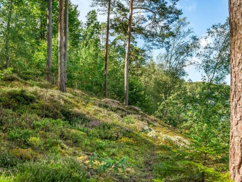 a hillside with trees and grass in a forest at Holiday Home Gaslunda by Interhome in Olofström