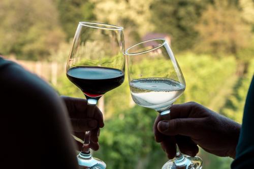 two people holding up glasses of wine at Wellness hiša Jelenov Grič in Mala Nedelja