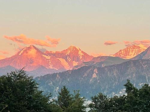 a view of a mountain range with trees in the foreground at Apartment im 4-Sterne Berghotel über Interlaken-Thunersee in Beatenberg