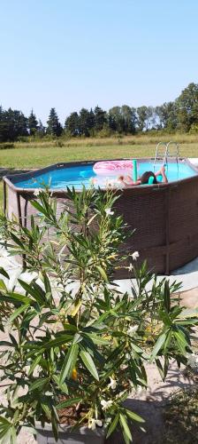 une usine en face d'une piscine avec dans l'établissement Mas en Provence, au Thor
