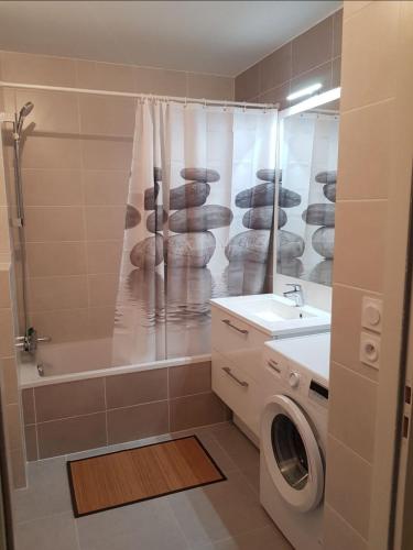 une salle de bain avec douche et machine à laver dans l'établissement Cosy new Studio close to airport, UN, palexpo !, à Ferney-Voltaire