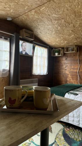 Photo de la galerie de l'établissement Le chalet des 3 canards, à Festigny