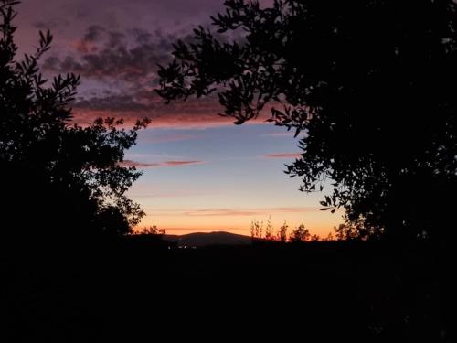 a sunset seen through the branches of trees at Dimora nel Chianti in San Sano