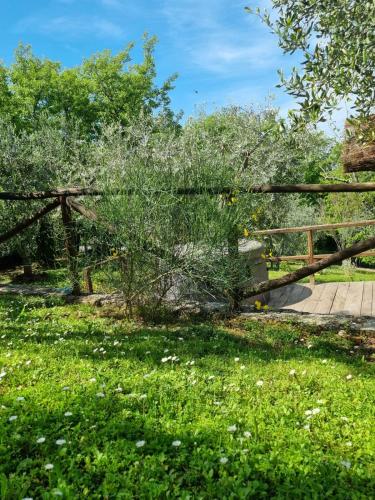 a wooden fence in a yard with grass and flowers at Dimora nel Chianti in San Sano