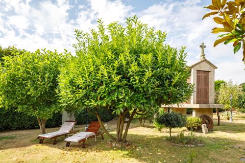 a bench and a tree in front of a small church at Adega in Ordes
