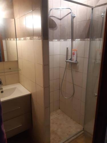 une salle de bain avec douche et lavabo dans l'établissement Appartement montagne, à Briançon
