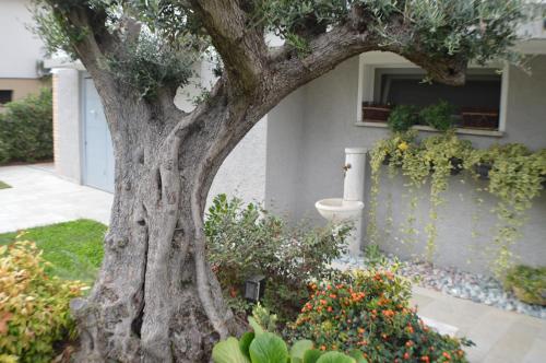 a tree in front of a house with flowers at Ca' Olivo in Mogliano Veneto