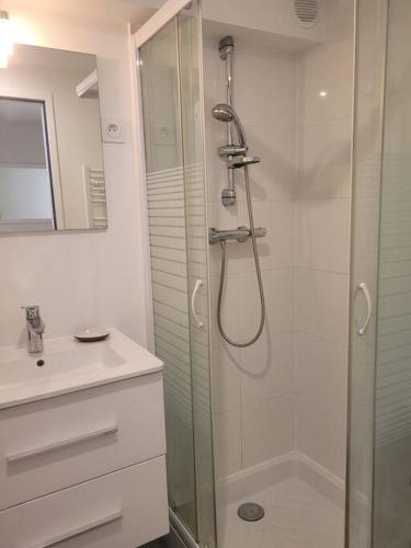 La salle de bains est pourvue d'une cabine de douche en verre. dans l'établissement T2 avec parking, à La Contrie