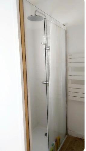une douche avec une porte vitrée dans une salle de bain dans l'établissement Charmante maison de ville avec terasse intime, à La Rochelle