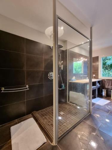 une douche avec une porte vitrée dans une salle de bain dans l'établissement Les Vignes de Pagès - Villa de Standing, à Lablachère