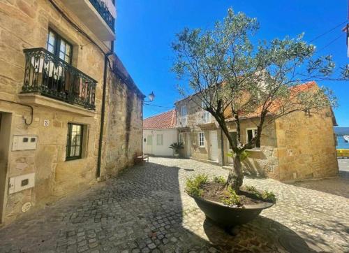 a tree in a pot on a cobblestone street at Ático con vistas a la ría de Arosa in Rianjo