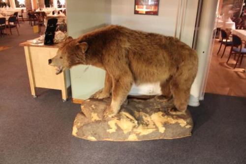 a statue of a bear standing on a rock at Hotel Jokkmokk in Jokkmokk