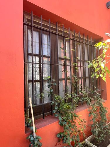 an orange building with a window with plants on it at Hermosa casita con jardín Goldas Haus in Florida